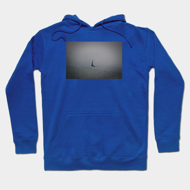 Bird in the mist / Swiss Artwork Photography Hoodie by RaphaelWolf